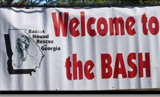 Basset Bash Picnic for Basset Hound Rescue of Georgia, Inc.